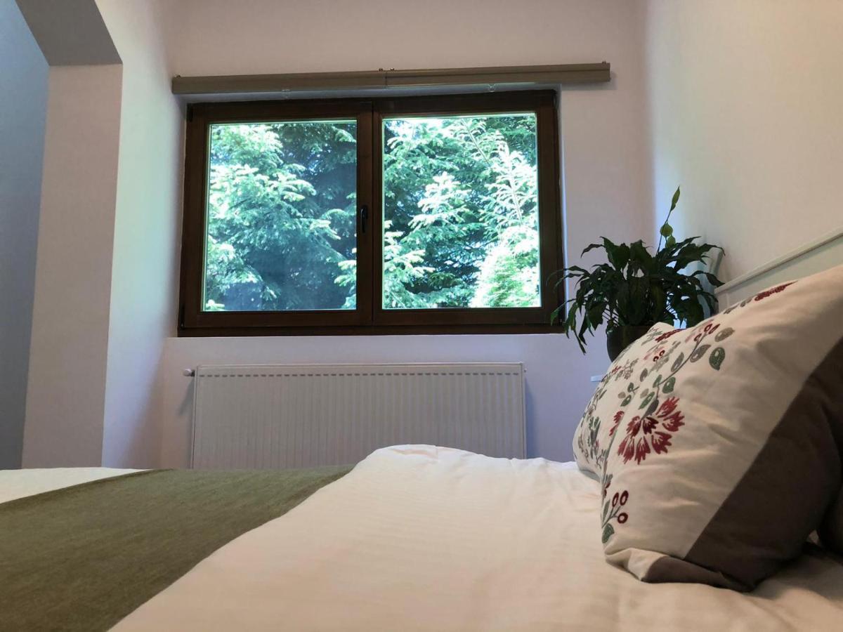 Apartment Forest By Olala Homes