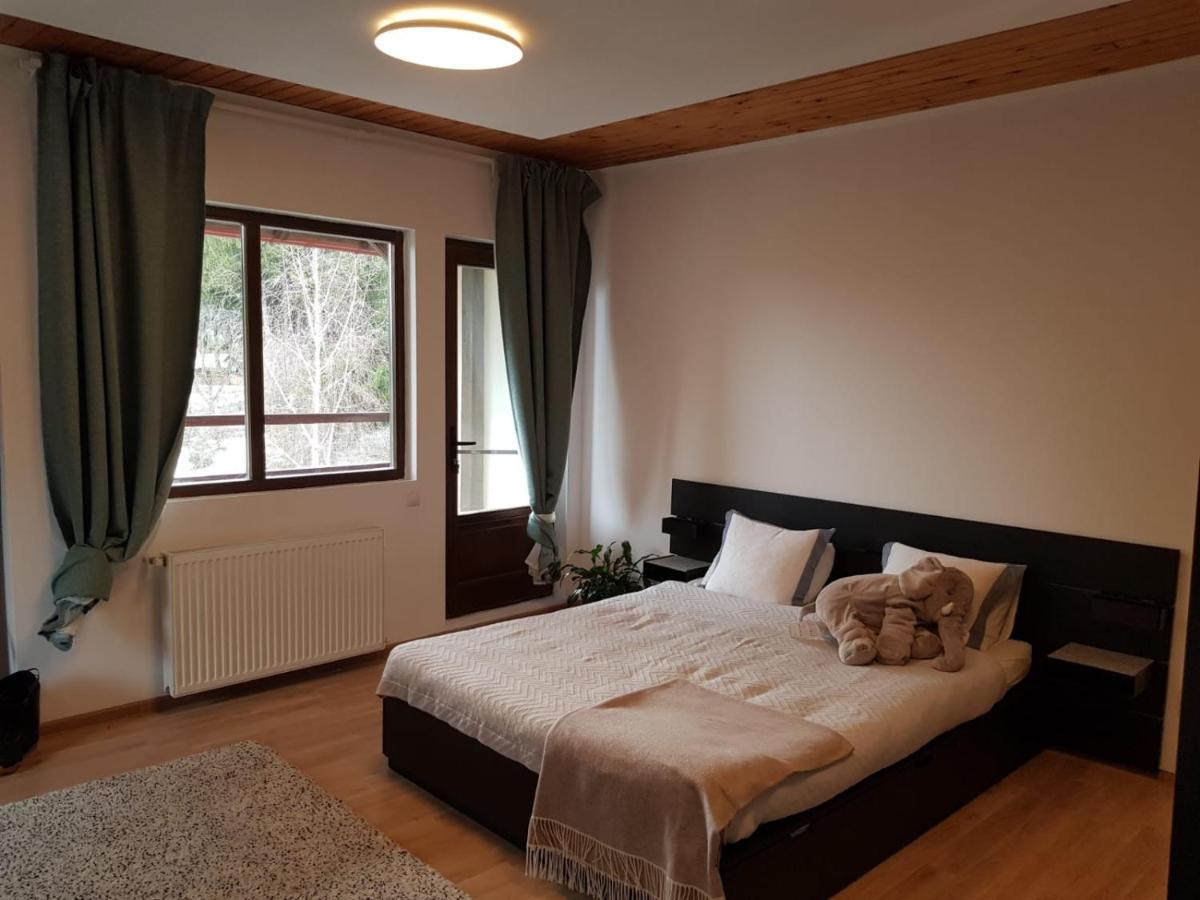 Forest By Olala Homes Sinaia